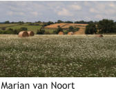 Marian van Noort