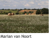 Marian van Noort
